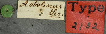 Media type: image;   Entomology 2132 Aspect: labels